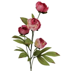 27.5" Dried Pink Peony Stem by Ashland®