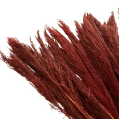 Dried Plant Bamboo Natural Foliage with Long Stems