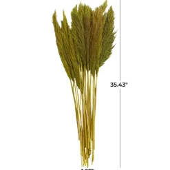 Dried Plant Bamboo Natural Foliage with Long Stems