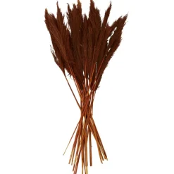 Dried Plant Bamboo Natural Foliage with Long Stems