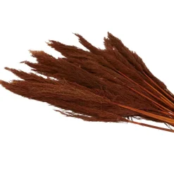 Dried Plant Bamboo Natural Foliage with Long Stems