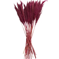 Dried Plant Bamboo Natural Foliage with Long Stems