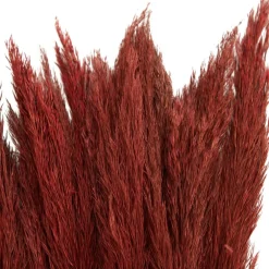 Dried Plant Bamboo Natural Foliage with Long Stems