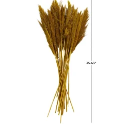 Dried Plant Bamboo Natural Foliage with Long Stems