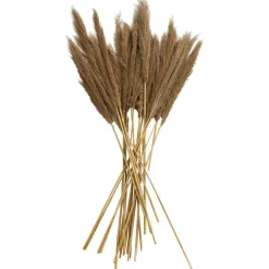 Dried Plant Bamboo Natural Foliage with Long Stems