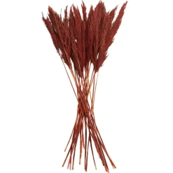 Dried Plant Bamboo Natural Foliage with Long Stems