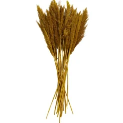 Dried Plant Bamboo Natural Foliage with Long Stems
