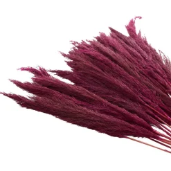 Dried Plant Bamboo Natural Foliage with Long Stems