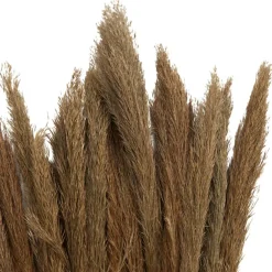 Dried Plant Bamboo Natural Foliage with Long Stems