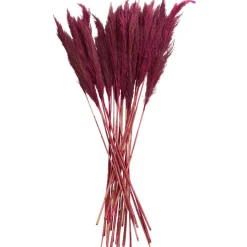 Dried Plant Bamboo Natural Foliage with Long Stems
