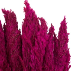 Dried Plant Pampas Natural Foliage with Long Stems