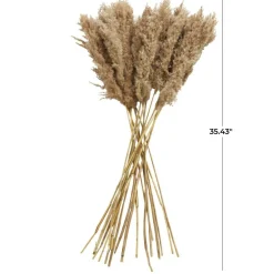 Dried Plant Pampas Natural Foliage with Long Stems