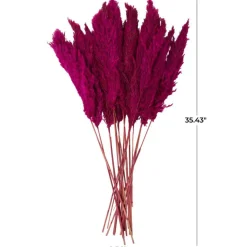 Dried Plant Pampas Natural Foliage with Long Stems