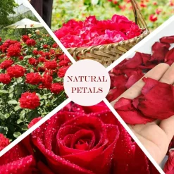 Dried Rose Petals - Dry Rose Petals Real Rose Petals Dried Organic for Rose Bath Spa Rose Quartz Candle Soap Making Wedding Confetti Resin Jewelry DIY Crafts Accessories