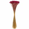 20" Dried Rspbrry Hil Flower Bunch 16 oz