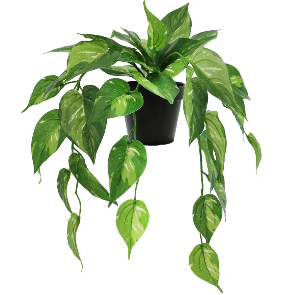 18" Dripping Evergreen Leaves Potted Plant by Ashland®