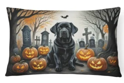 Edge Collections – Multicolor – Spooky Halloween Decorative Indoor Outdoor Fabric Pillow – 1 Piece