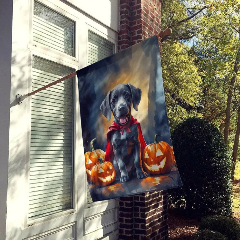 Edge Collections - 28" x 40" - Multicolor - Weimaraner Halloween House Flag Decorative Sleeve Pole - 1 Piece