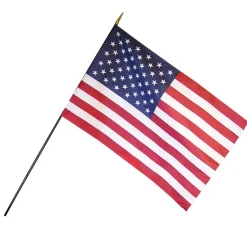 Empire Brand U.S. Classroom Flag with Staff, 12" x 18"