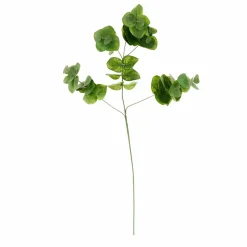 Eucalyptus Branch by Ashland®