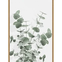 Eucalyptus Creative 16 by Pictufy Studio III Framed Canvas Wall Art