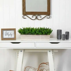 8" Eucalyptus in Decorative Planter