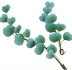 Eucalyptus Leaves Gum Paste Flowers
