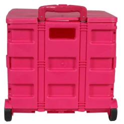 Everything Mary Collapsible Rolling Cart with Lid