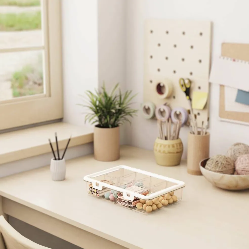Ezy Storage 8-Compartment Storage Box