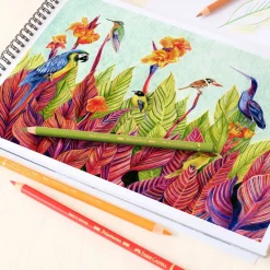 Faber-Castell Polychromos 60 Color Pencil Set