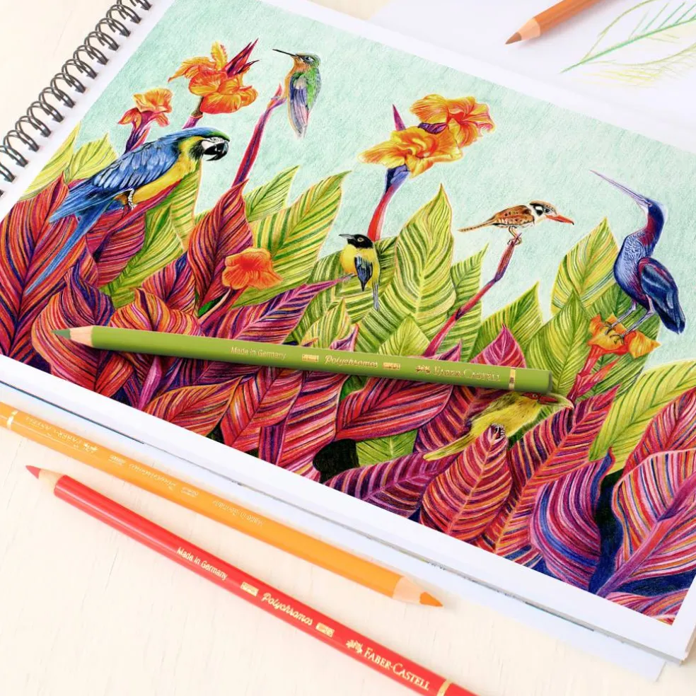 Faber-Castell Polychromos 60 Color Pencil Set