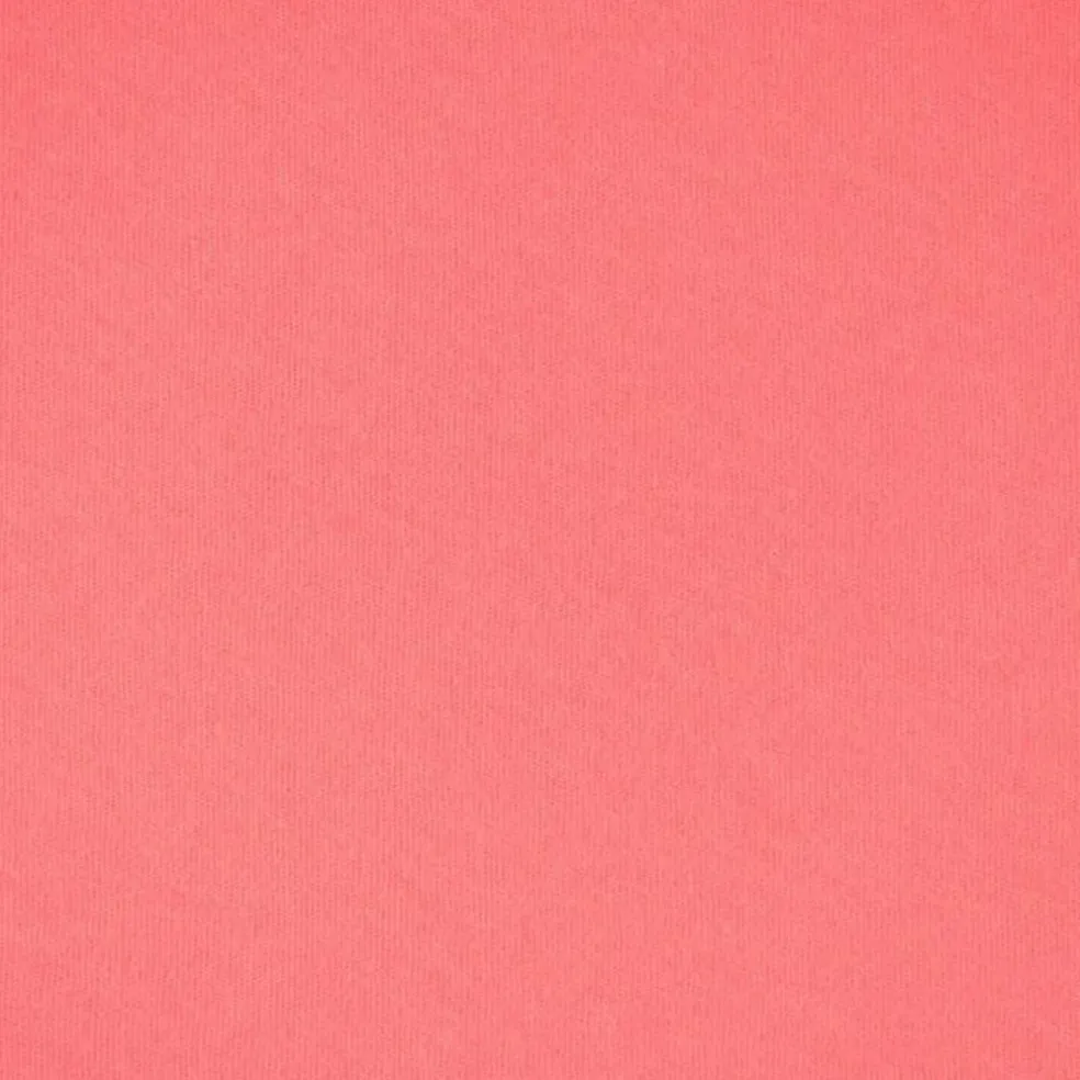Fabric Merchants Solid Cotton Jersey Knit Fabric
