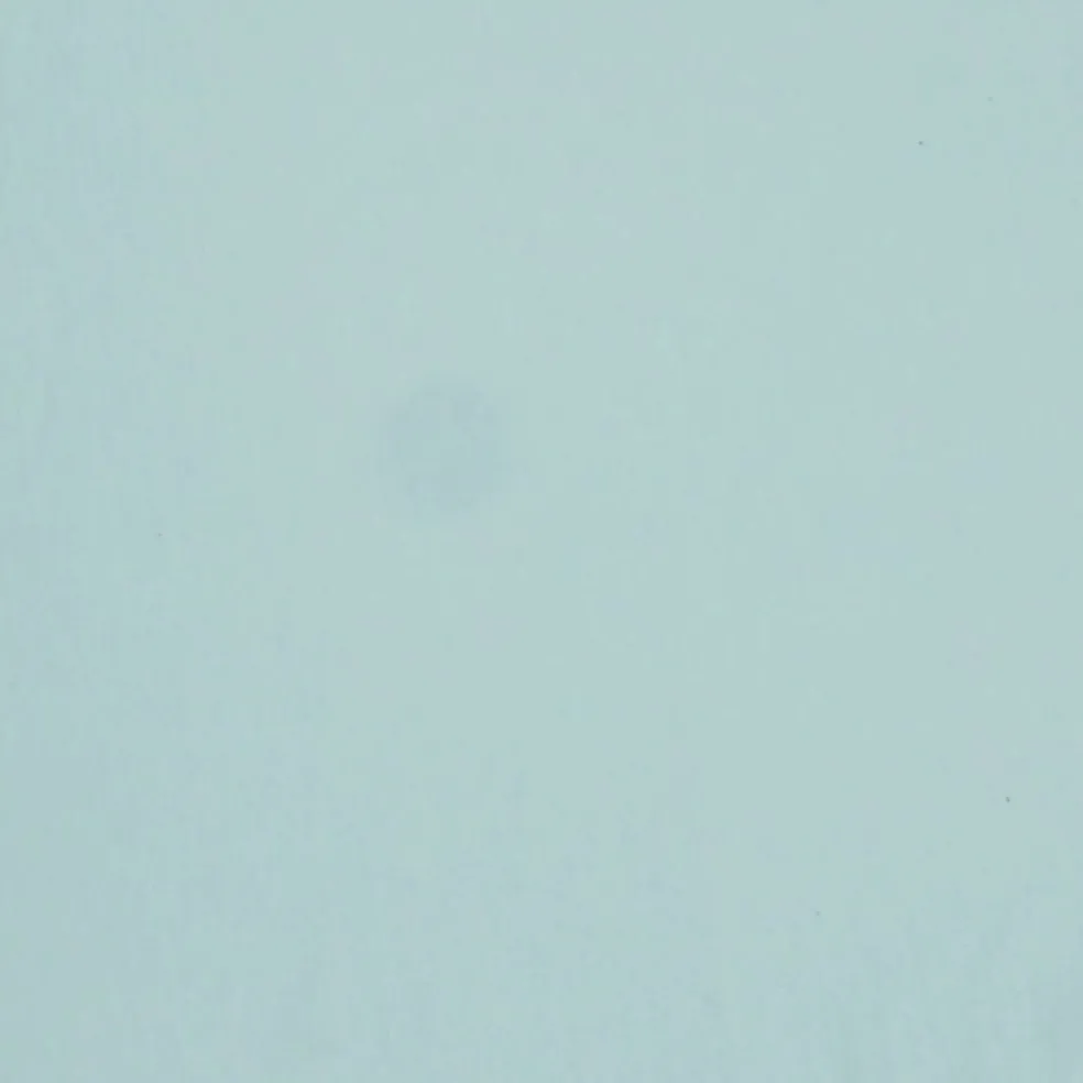 Fabric Merchants Solid Cotton Jersey Knit Fabric