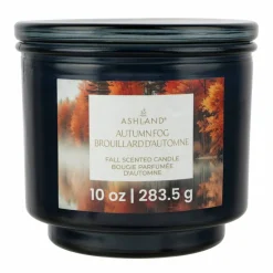 Fall Scented Jar Candle by Ashland®