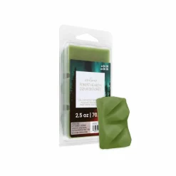 Fall Scented Wax Melts by Ashland®