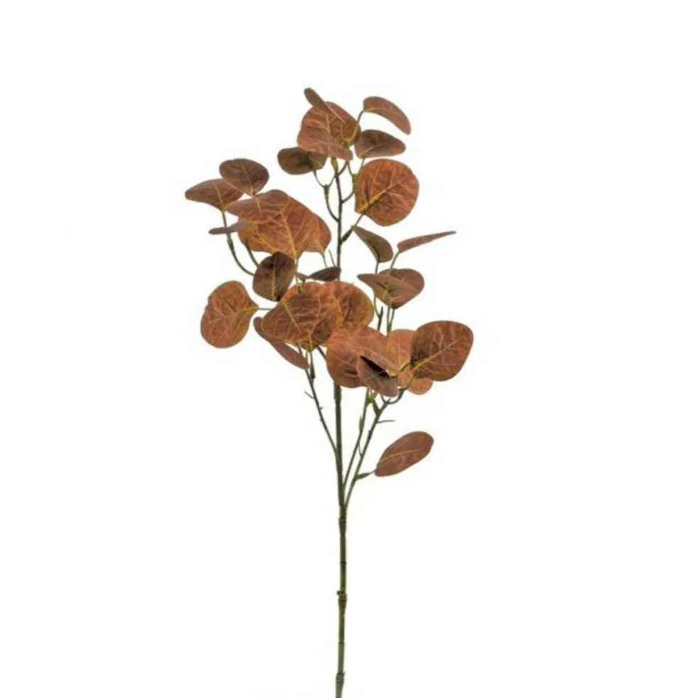 Fall Smoketree Leaf Spray | Hazelnut Copper Foliage Stem | 25" Spray-FL6222-HAZ