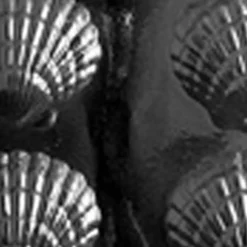Fancy Shells Chocolate Mold