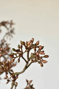 38" Faux Brown Sedum Berry Branch
