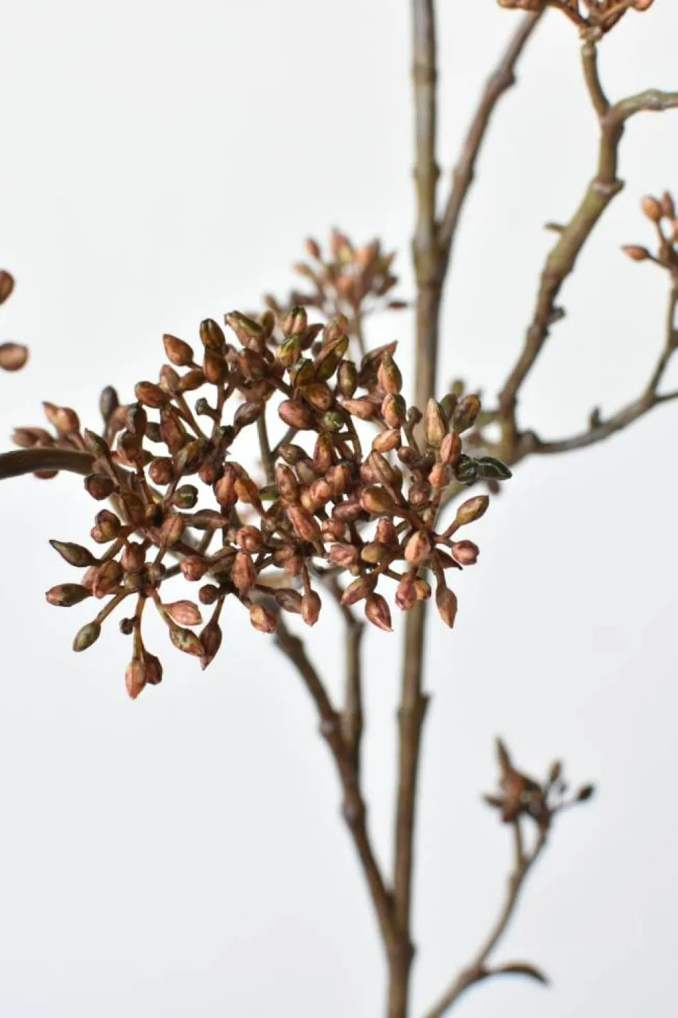 38" Faux Brown Sedum Berry Branch