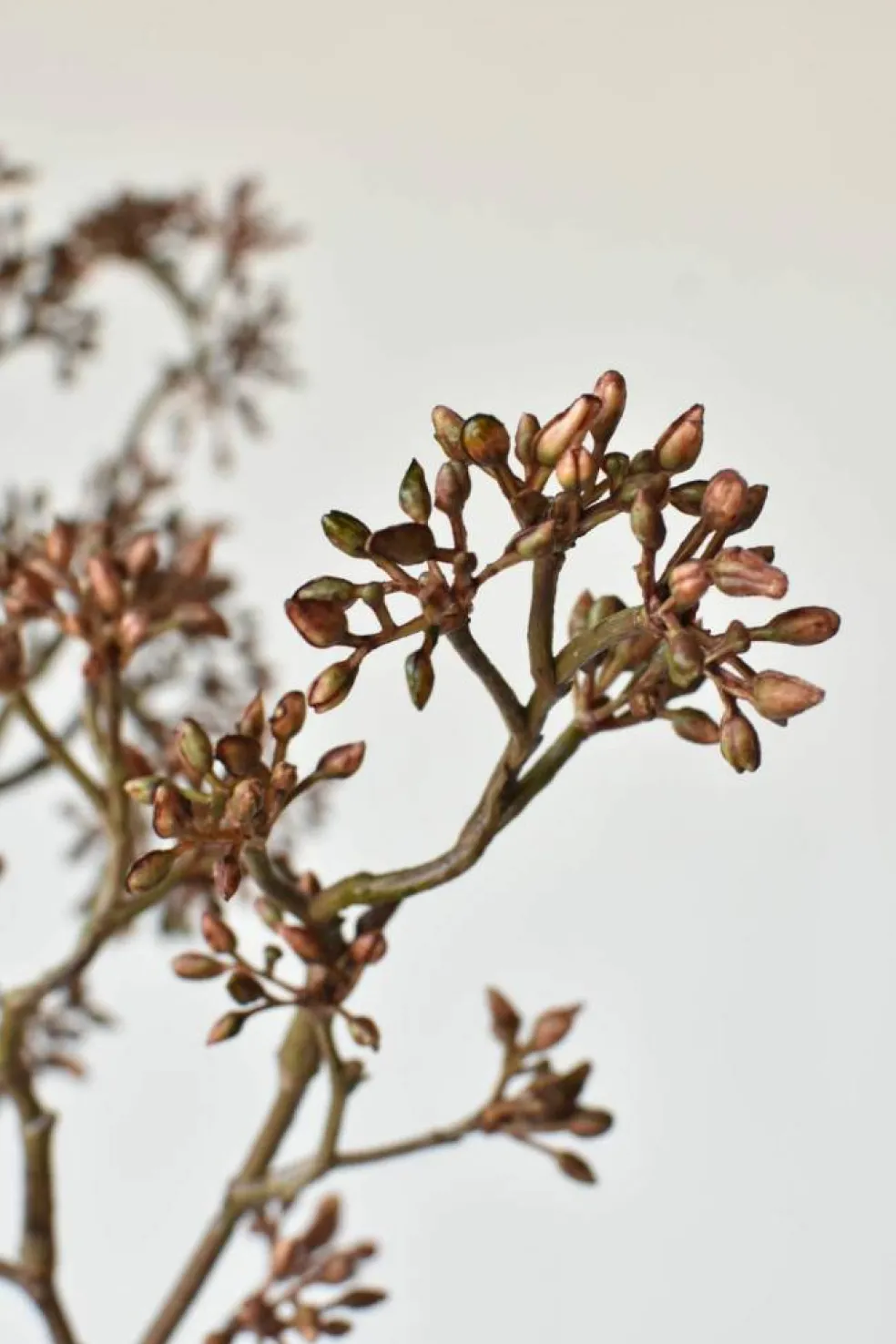 38" Faux Brown Sedum Berry Branch