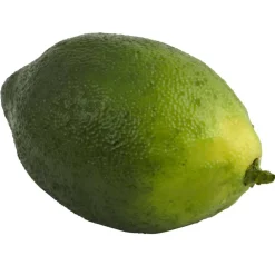 Faux Limes, 12ct.