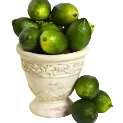 Faux Limes, 12ct.