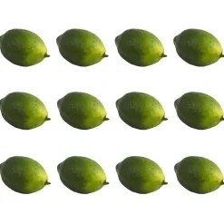 Faux Limes, 12ct.