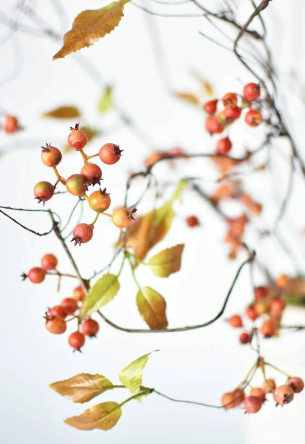 38" Faux Orange Berry Branch Stem