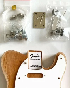 Fender Telecaster Build Your Own 10 Inch Miniature Guitar Replica Model Kit  [COLLECTIBLES] Figure, Collectible