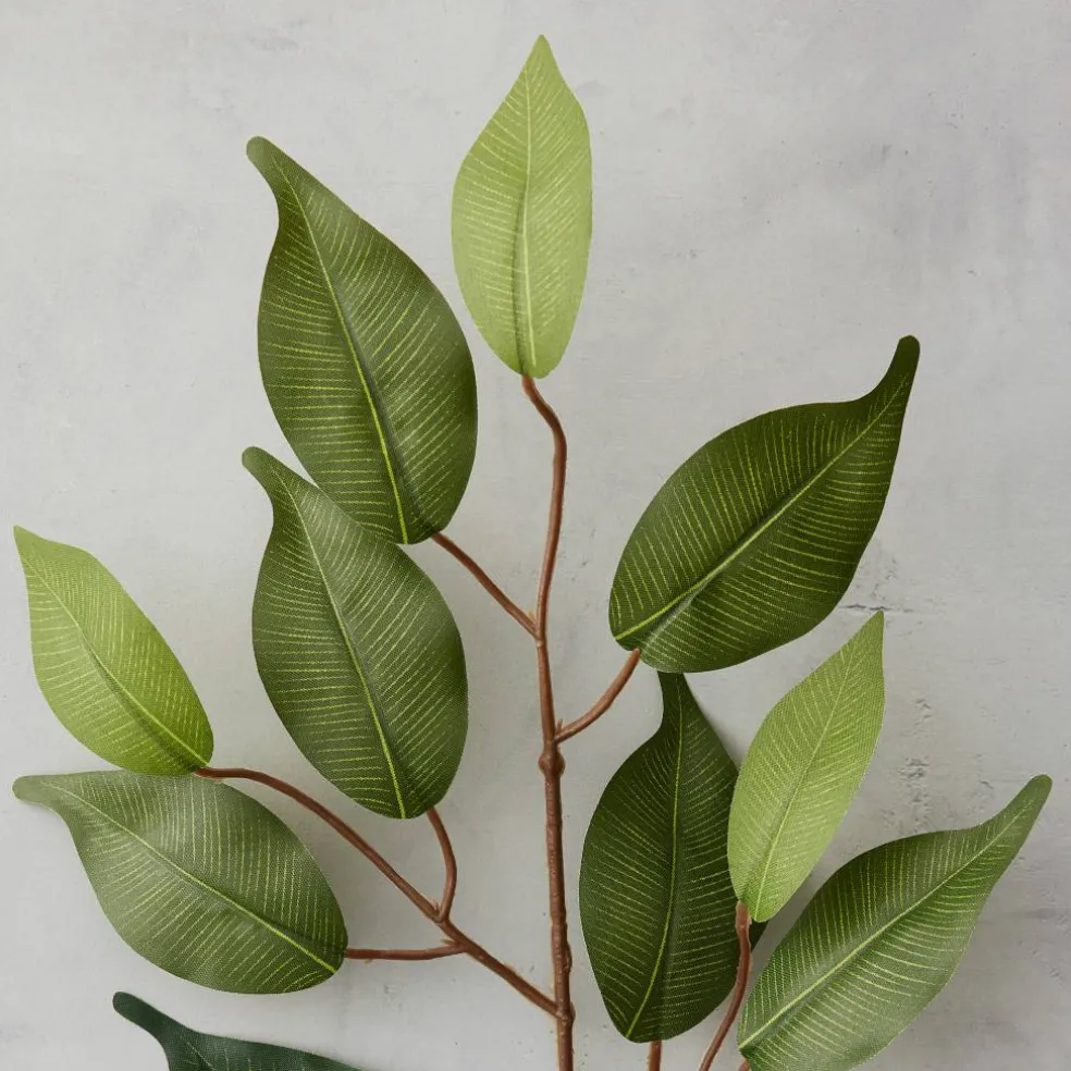 23" Ficus Spray Floral Essentials by Ashland®