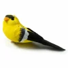 Finch Bird by Ashland®