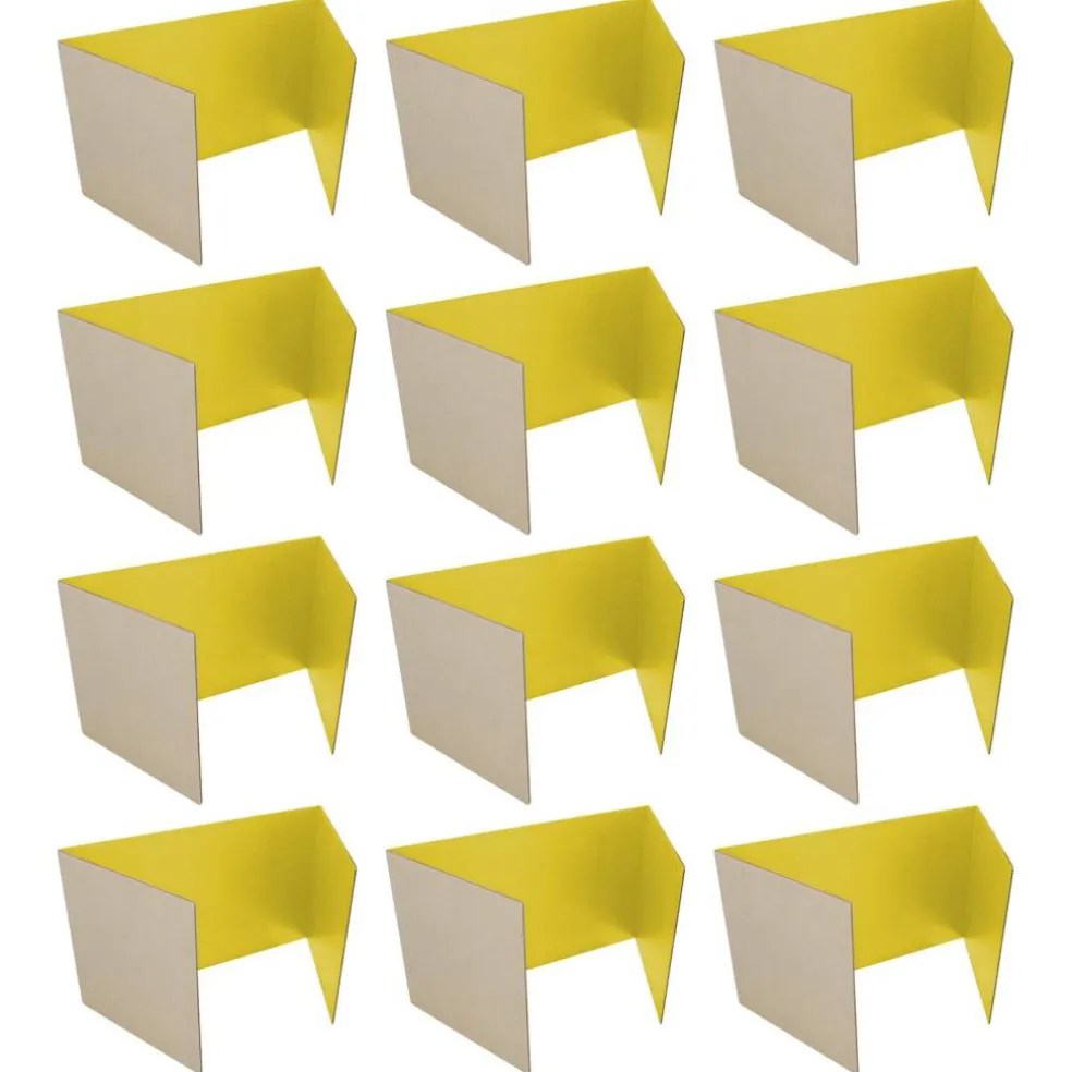 Flipside Products 12”x 48” Study Carrels, Privacy Boards, Student Privacy and Focus Booth for The Classroom, Desk Divider Cubby for Tests