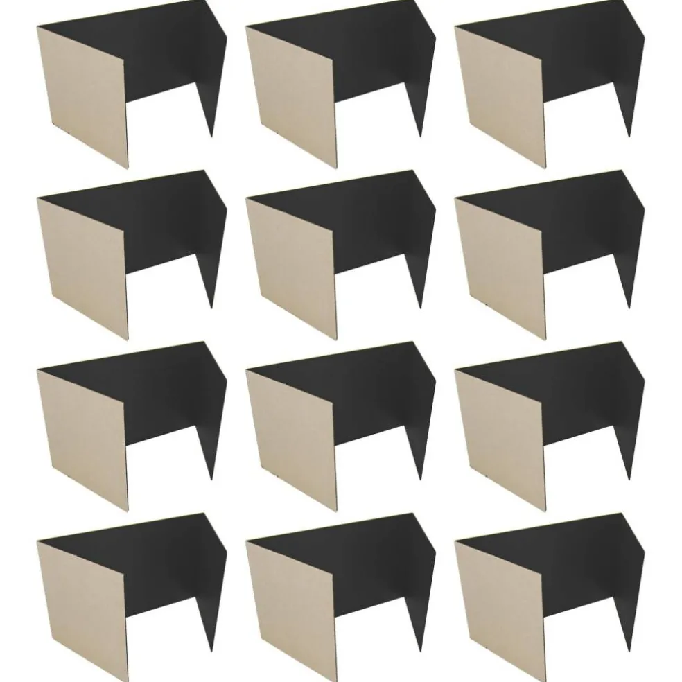 Flipside Products 12”x 48” Study Carrels, Privacy Boards, Student Privacy and Focus Booth for The Classroom, Desk Divider Cubby for Tests