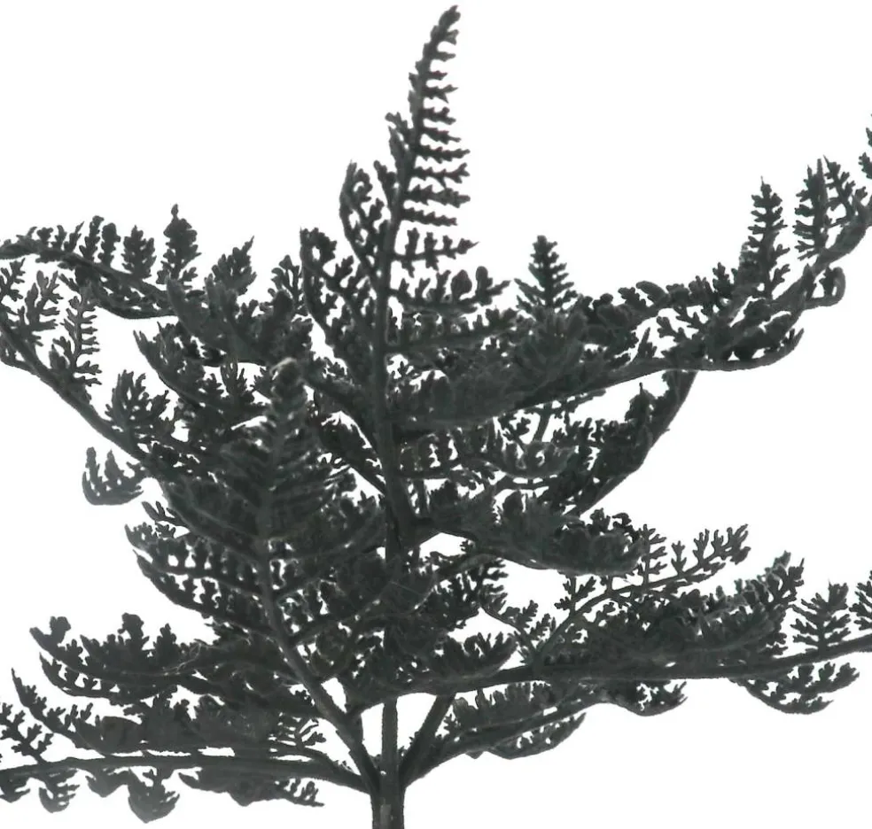 12" Flocked Fern Pick by Ashland®
